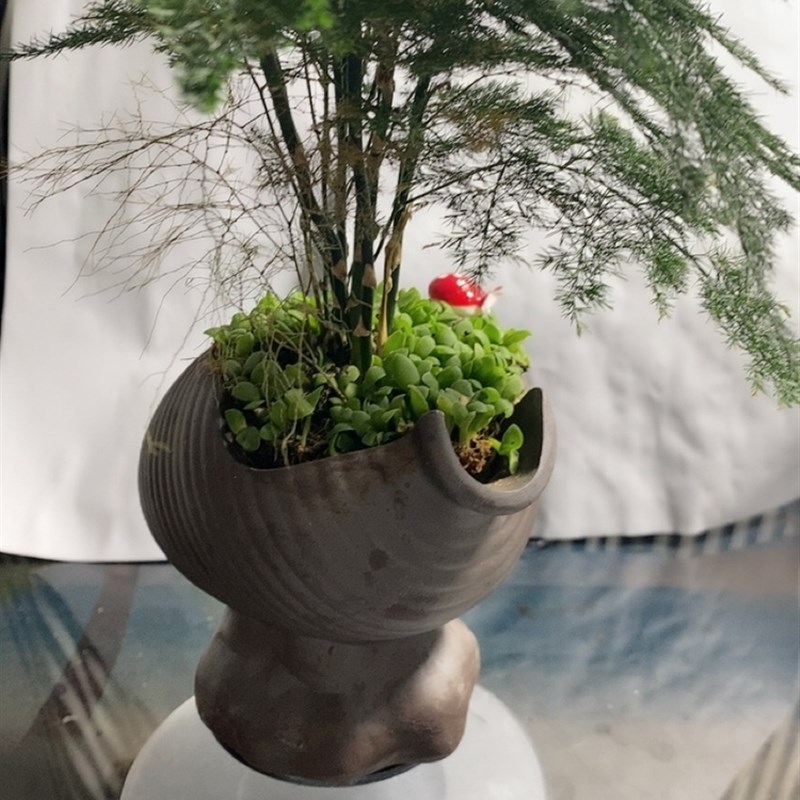 磁悬浮裸金属磁悬浮机芯悬浮展台磁悬浮DIY磁悬浮模块音频500-100