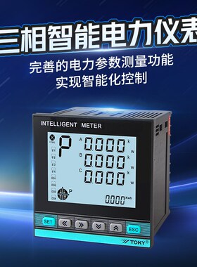 TOKY东崎DS9L-W-RC38 A30三相智能电力仪表电压电流功率电能测量