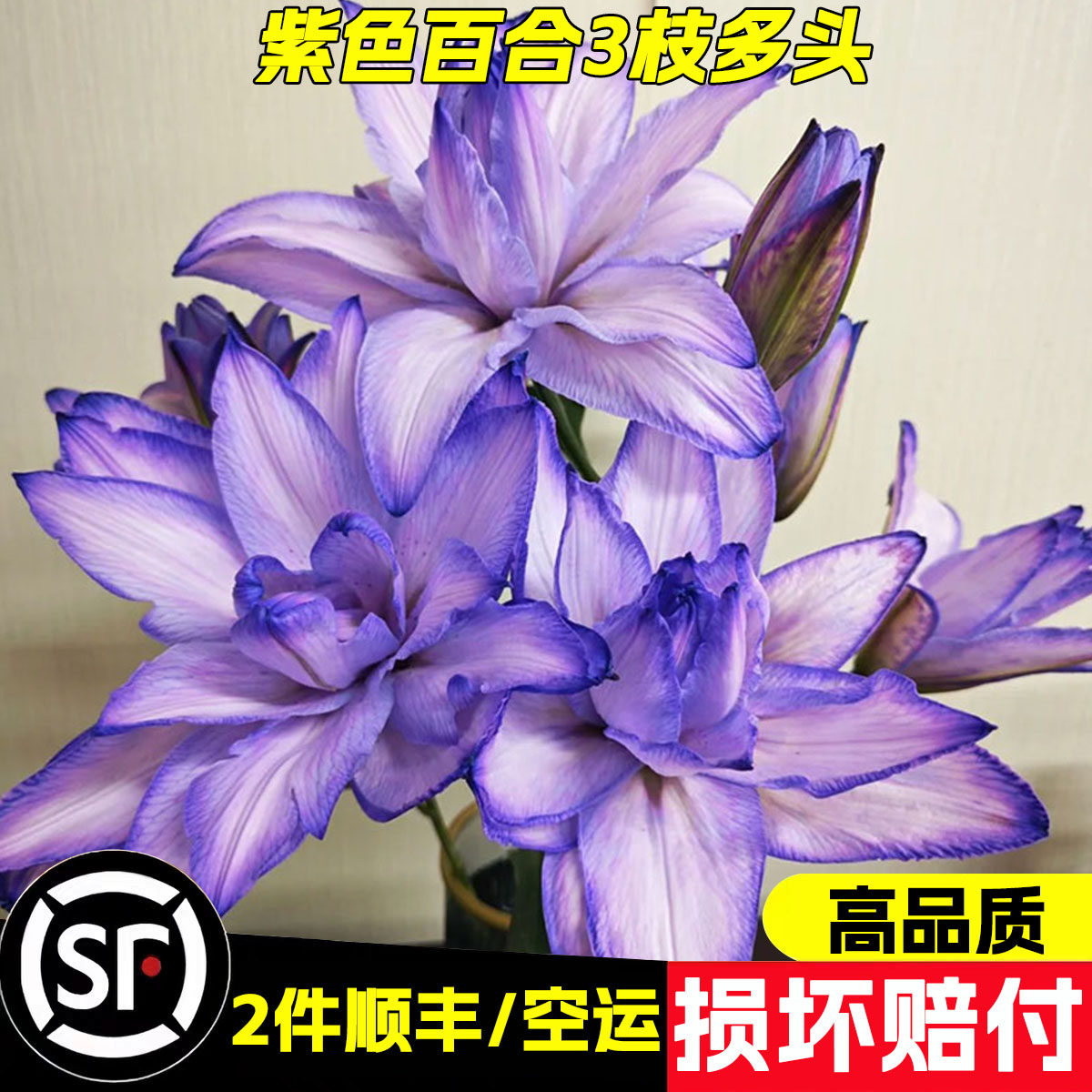 紫雾幻影重瓣吸色百合花鲜花云南基地直发鲜切花七夕情人节花束