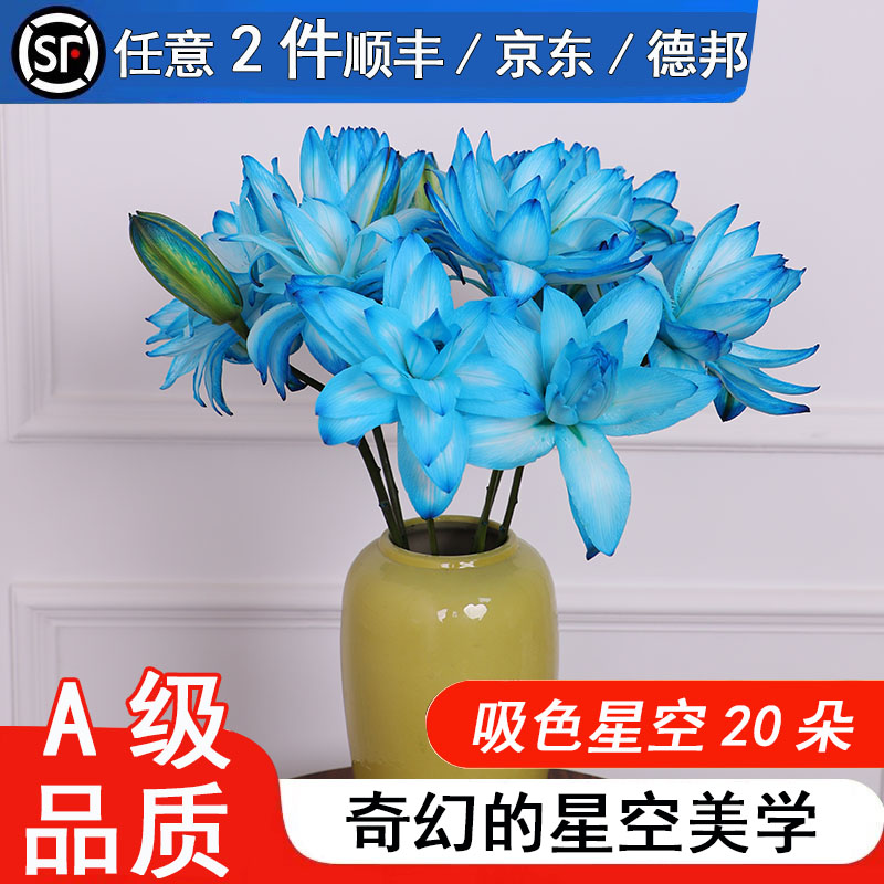 吸色星空重瓣香水百合花鲜花新鲜现采水养鲜切花情人节七夕礼物
