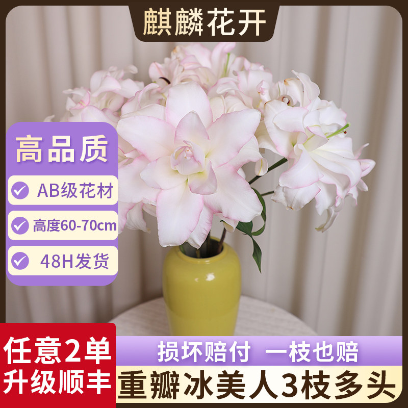 冰美人重瓣百合花鲜花云南鲜切花基地直发七夕情人节礼物花束花卉