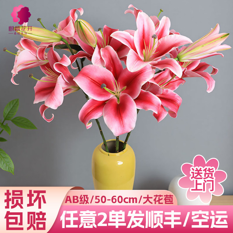 粉色香水百合花鲜花云南基地直发七夕情人节鲜切花花束生日礼物