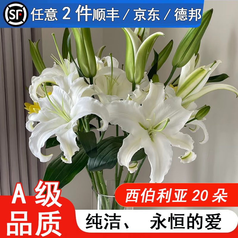 西伯利亚百合花20朵鲜花昆明基地直发七夕情人节礼物水养鲜切花