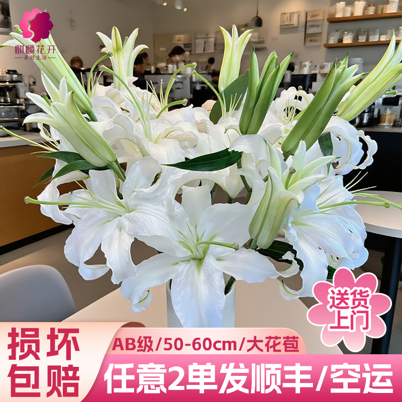 任意2单发顺丰/德邦空运