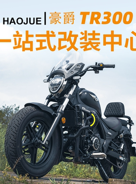 豪爵TR300摩托车改装配件保护杠保险杠折叠靠背货架边包配件适用