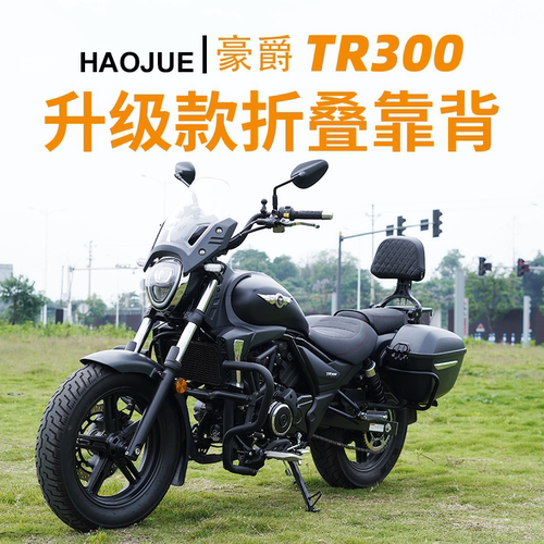 适用豪爵TR300plus改装件折叠靠背都市版旅行版货架多功能配件
