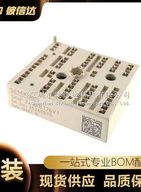 SKIIP24NAB126V1 23NAB126V1 23NAB12T4V1 24NAB12T4V1 24NAB126V