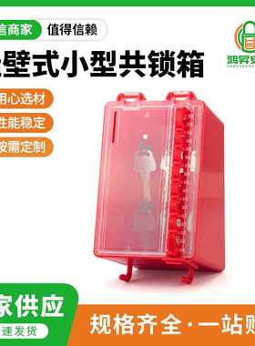 微型壁挂式挂锁钥匙箱 可视化透明挂壁式小型共锁箱 BD-X21