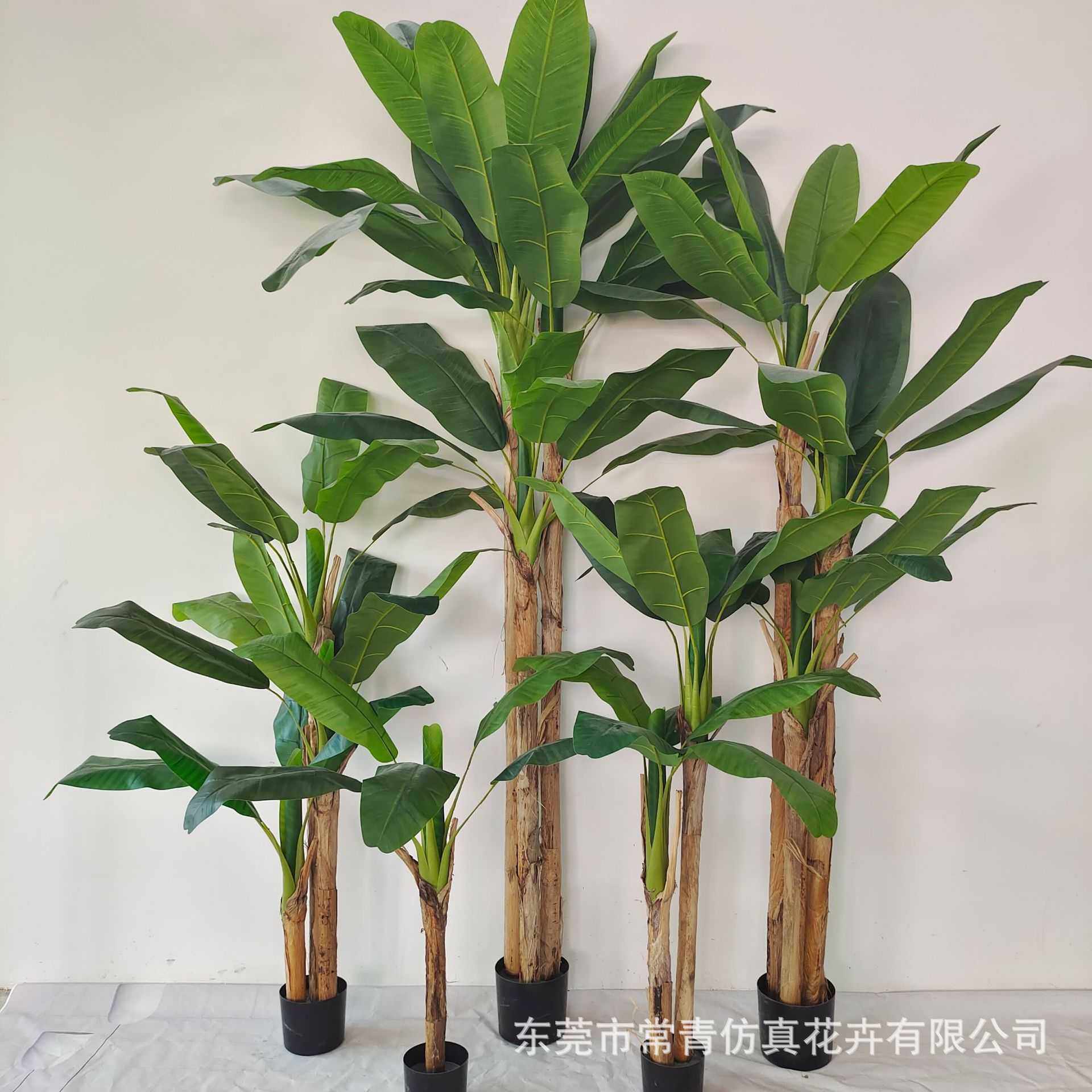 常青仿真植物装饰北欧假绿植盆栽摆件芭蕉树现货阳光高仿真