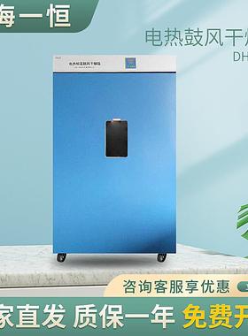 上海一恒 DHG-9620A 电热恒温鼓风干燥箱 烘箱 老化箱