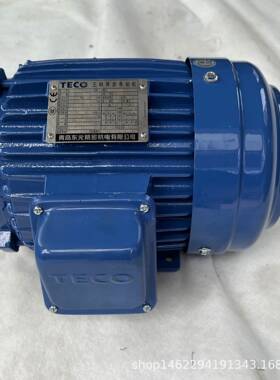 电机TEF390L-2AEMB3N3HP2P