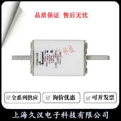 170M4188 170M4189 170M4190 170M4191 170M4192 BUSSMANN 熔断器
