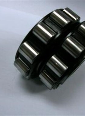 偏心轴承 50752904 天骄