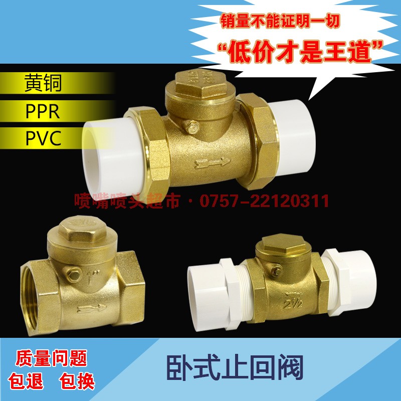 PPR热熔双活接单向阀黄铜PVC卧式止回阀止逆阀自来水管4分6分1寸