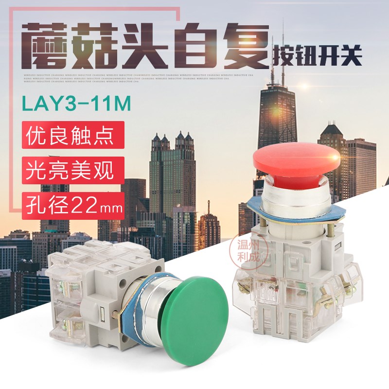复位按钮开关 蘑菇钮 口径22 按钮开关 LAY3-11M