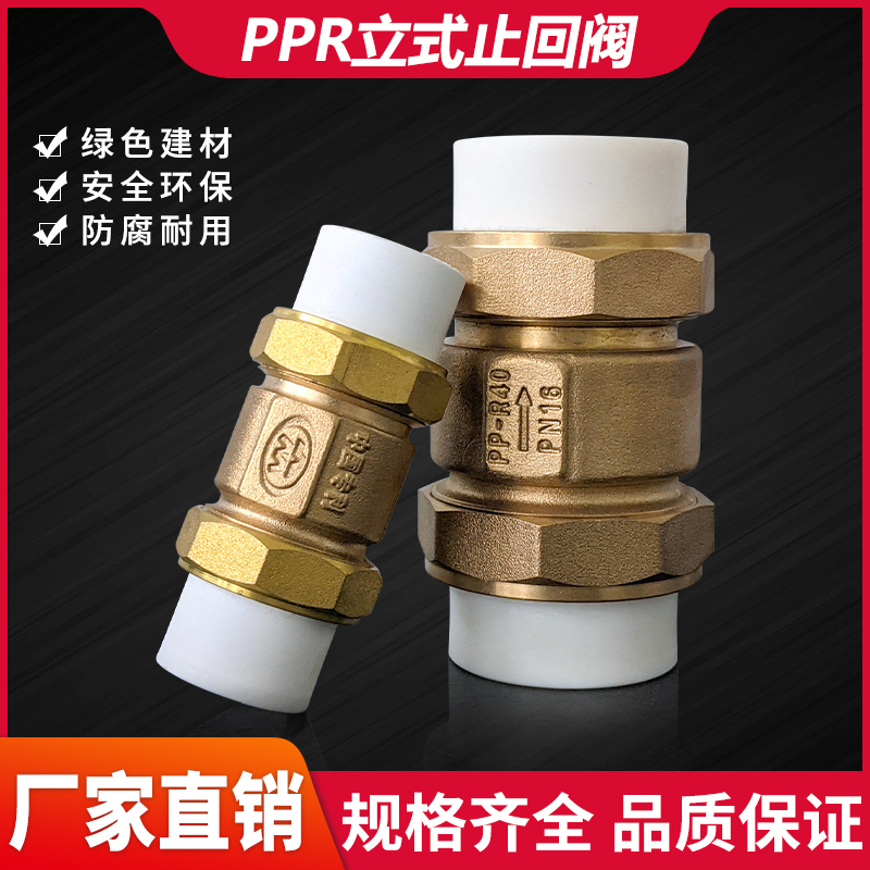 PPR活接止回阀 带弹簧2025 32 40 50 63/4分1寸2寸单向逆流防回水