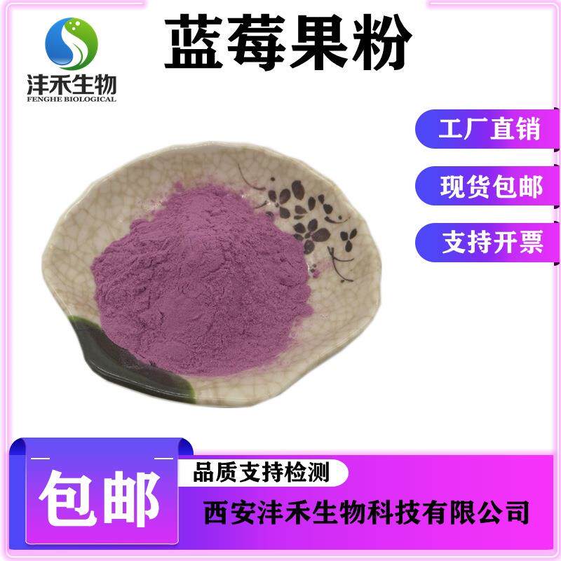 蓝莓果粉现货包邮蓝莓花青素蓝莓浓缩汁 蓝莓提取物
