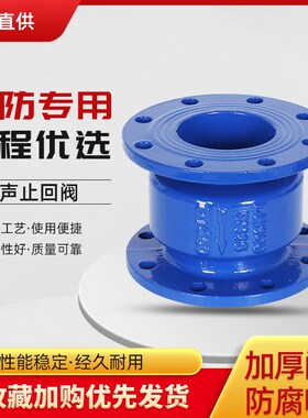 HC41X-16法兰消声止回阀碳钢消音立卧式单向逆止阀DN80 100 150