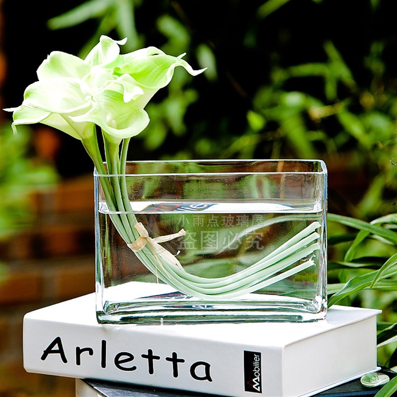 小型透明玻璃花瓶长方形条缸水培玻璃家J居玻璃摆件简约桌面摆放