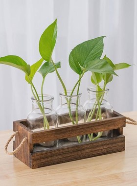 水培植物木架家居办公室桌面水养植物插花摆件大T开口木框玻璃花