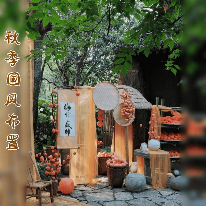 秋冬季国风小院场景布置材料新中式民宿拍照打卡氛围装饰纱幔