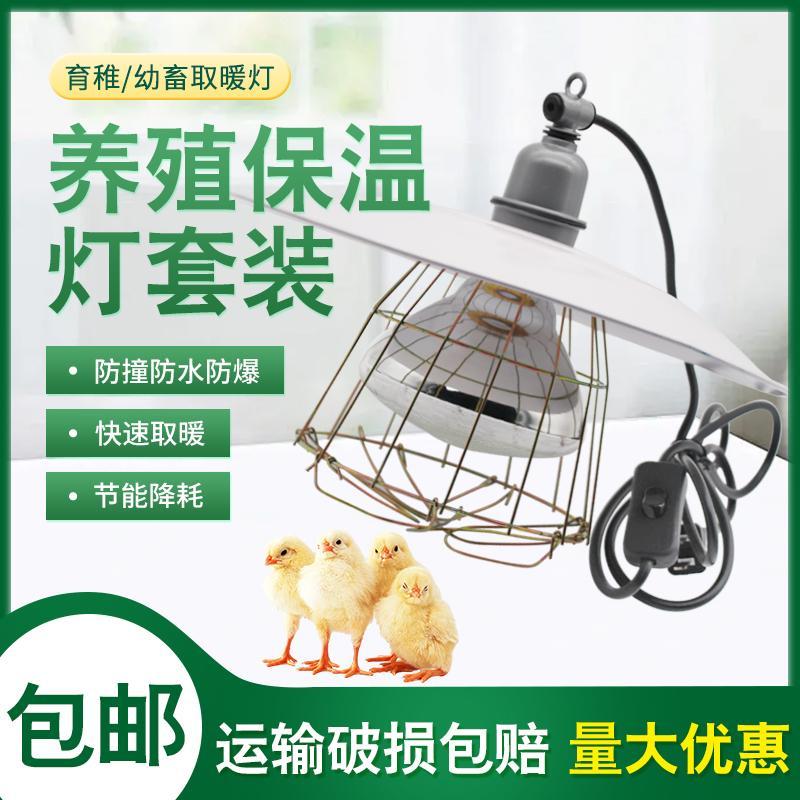 养殖保温灯罩套装防撞防爆铁丝网罩猪用育雏取暖灯鸡鸭鹅保温灯泡