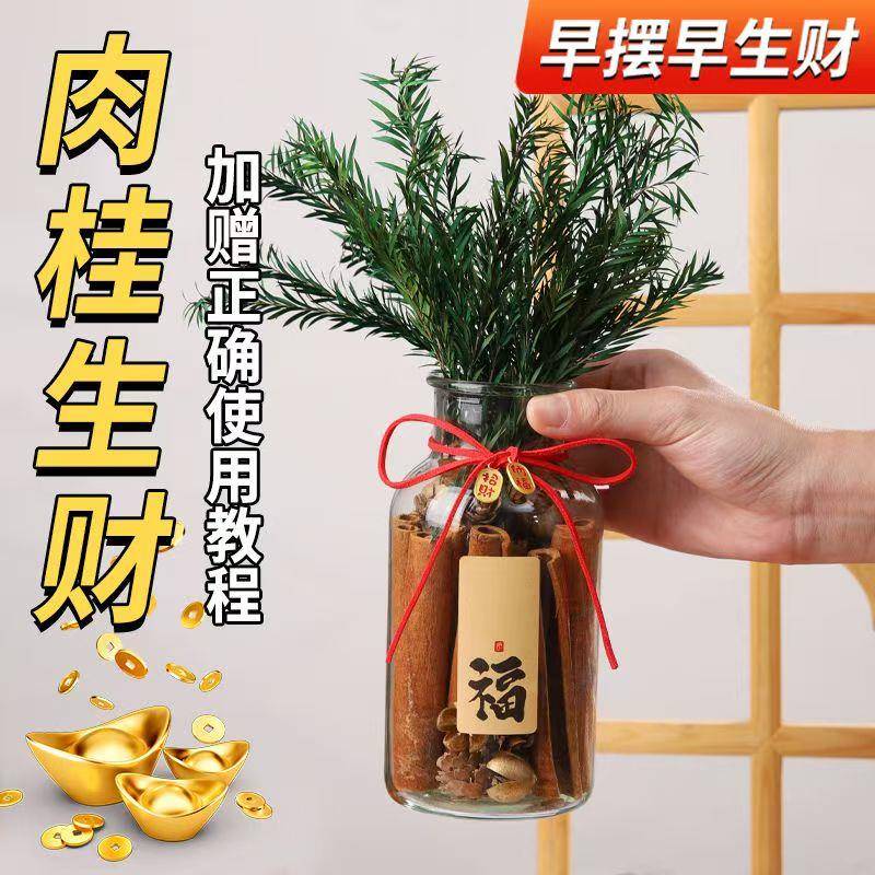 肉桂生财瓶摆件招财聚玻璃瓶花瓶diy材料客财厅位乔迁新居搬家用
