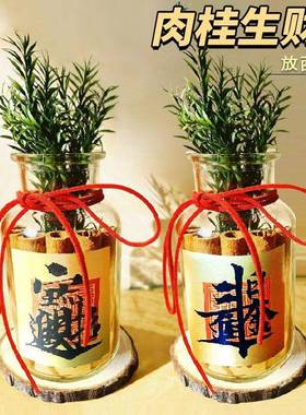 肉桂生财摆件开业招财摆件发财瓶装饰布置新年客厅新房子乔迁之喜