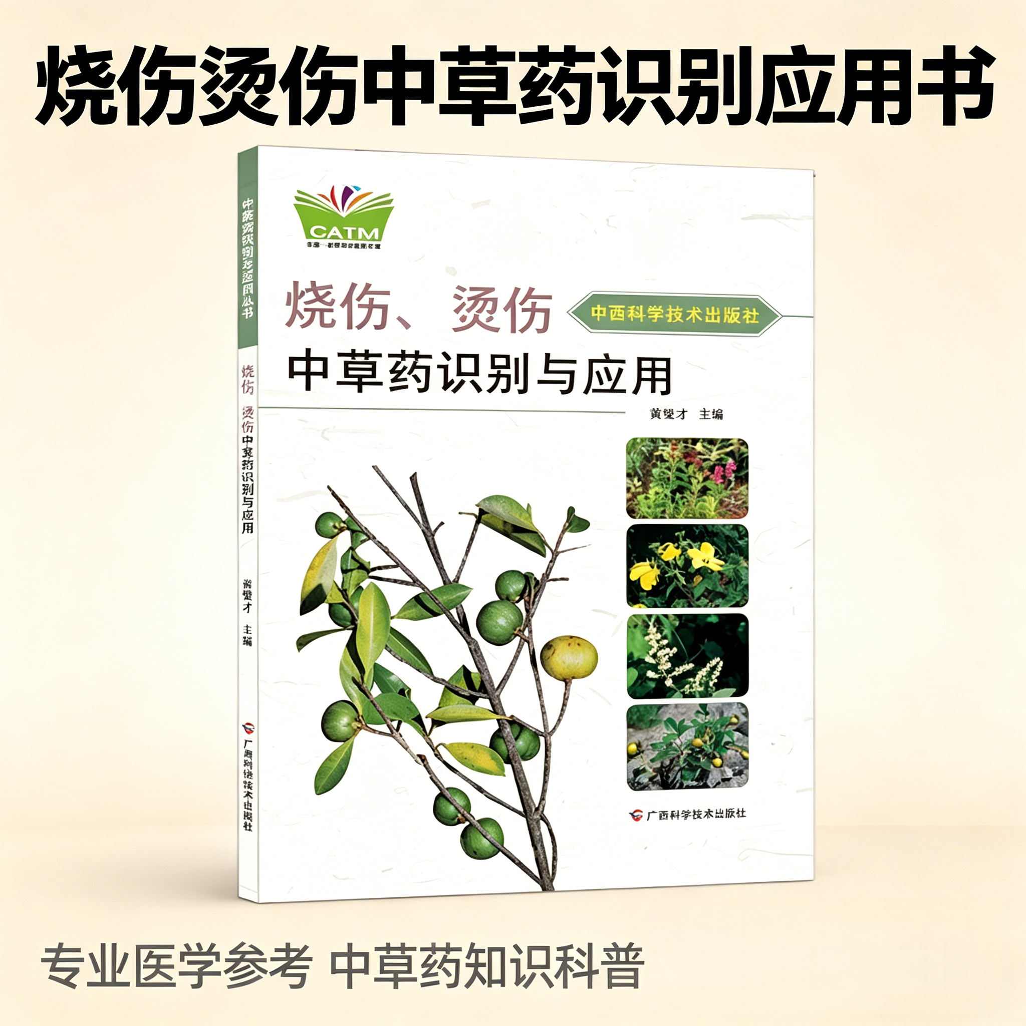 【官方正版】烧伤、烫伤中草药识别与应用 中国-东盟传统医药文库原名烧烫伤蛇虫咬伤中草药原色图谱