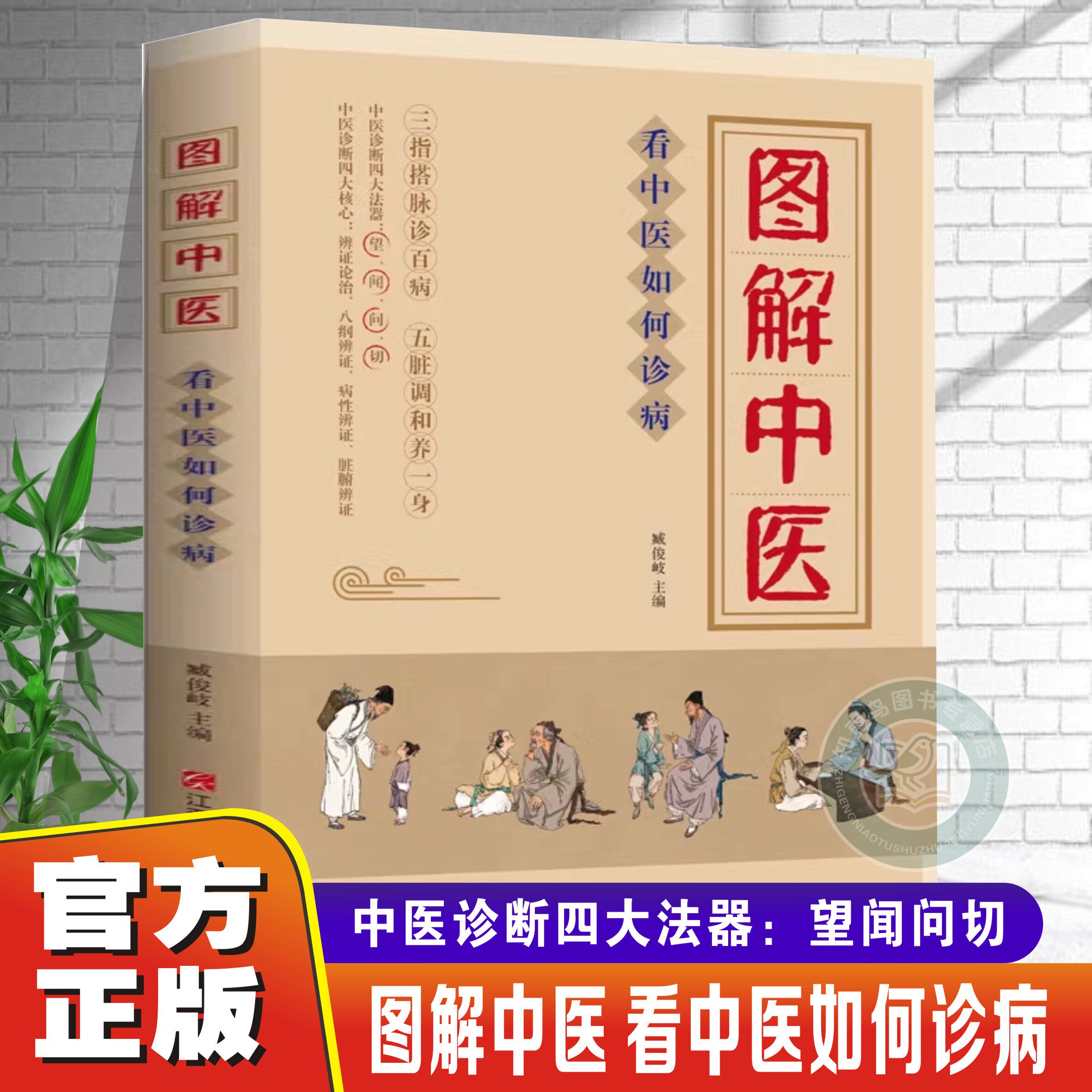 【官方正版】图解中医 中医入门书籍三指搭脉诊百病五脏调和养一身 看中医如何诊病正版中医诊断四大法器望闻问切中医诊断治疗大全