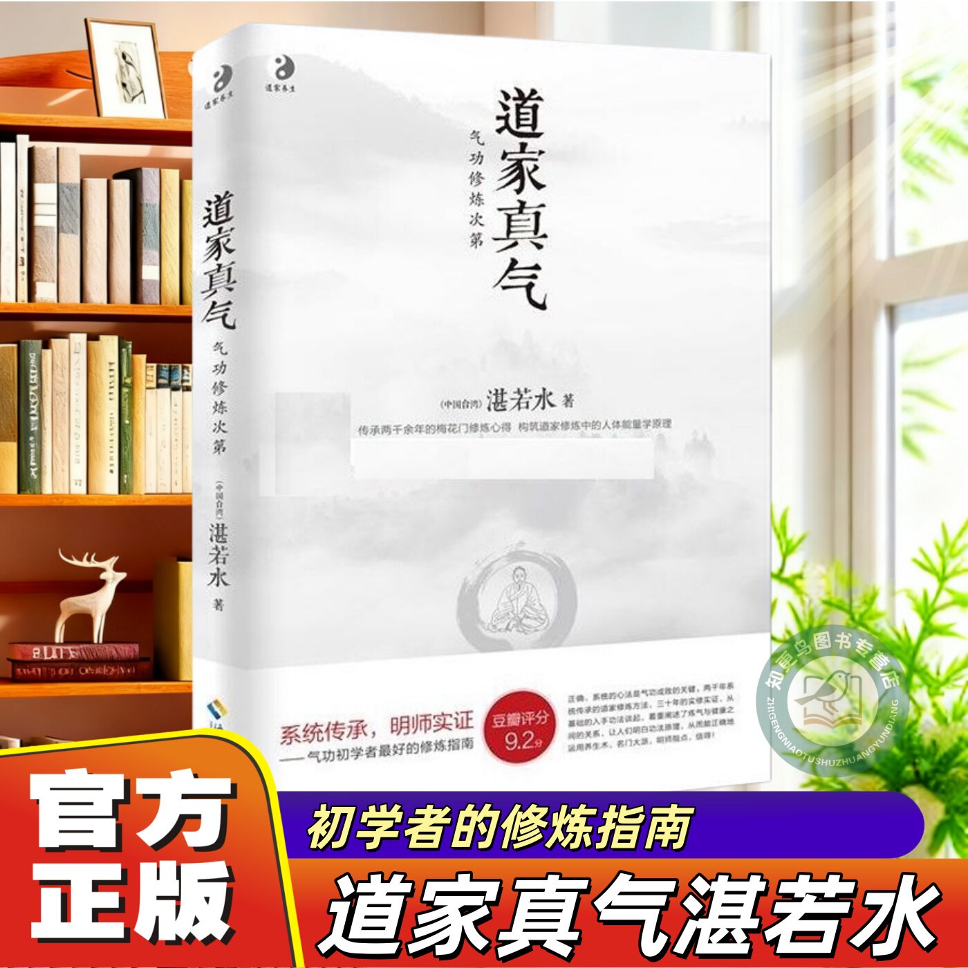 【官方正版】道家真气湛若水著气功修炼次第意无止境传承两千余年的梅花门修炼心得初学者入门指南心法站桩书籍入门与养生人体能量