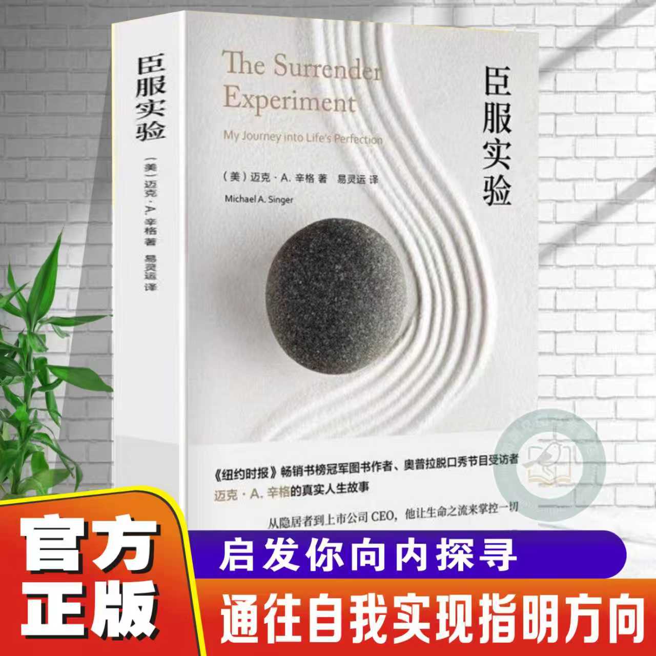 迈克辛格自述传奇人生自我励志
