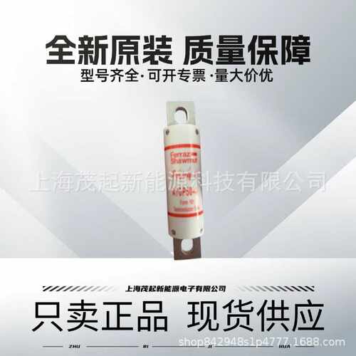 A70P50-4 A70P100-4 A70P125-4 A50P50-4 A50P35-4 罗兰熔断器