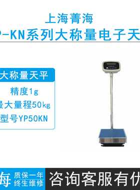 上海菁海YP50KN/YP200KN-5/YP300KN-10电子磅秤大称量落地式天平