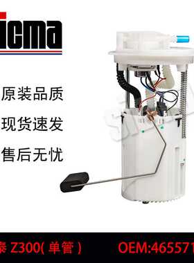 46557116 适用于众泰Z300(单管) 全新燃油泵总成稳定输出精准控压