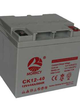 12V40AH铅酸蓄电池直流屏UPS EPS太阳能储能AGM免维护密封蓄电瓶