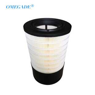 适配鲍斯螺杆式空压机配件 P628866空气过滤器滤芯 P628862滤清器