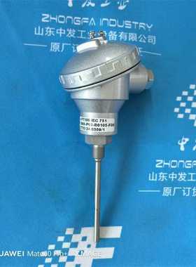 中发供意大利常见工业备件 ELSI 热电偶 F1.S60-P00-B0105-F00