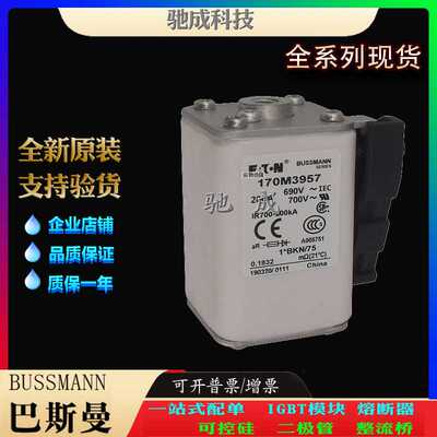 巴斯曼170M3958 170M3959 170M3960 全新工业量大价优 紧凑熔断器
