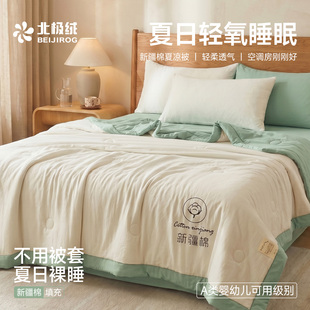 北极绒26新款A类新疆棉花四季被