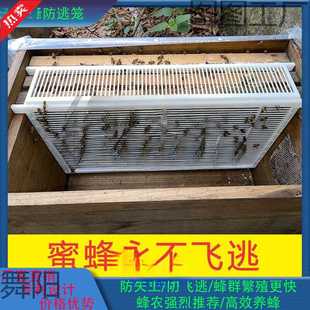 双王群养殖隔王板防盗片蜜蜂多王群饲养笼隔王栅产卵控制器防逃笼