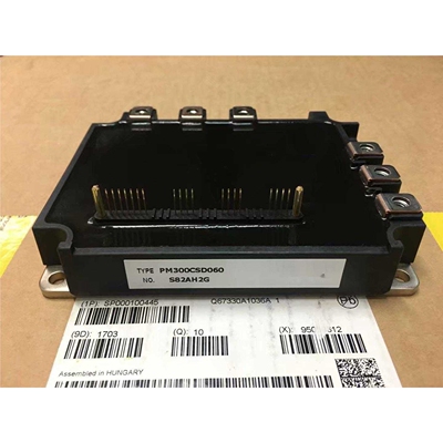 PM300CSD060 PM150RSE120 PM150RRA060 PM300RSD060 PM200RSE060