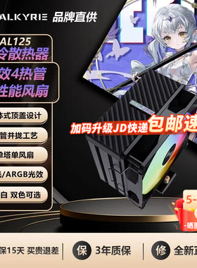 VK瓦尔基里AQ125/DX140散热器CPU风扇ARGB台式机电脑塔式风冷