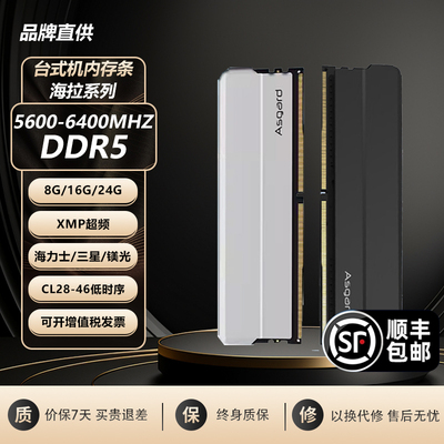 阿斯加特海拉ddr5台式机内存条