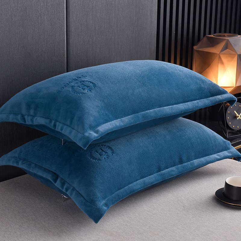 牛奶绒枕套一对装48cmx74cmB加厚家用枕头套珊瑚绒冬季单只枕芯套