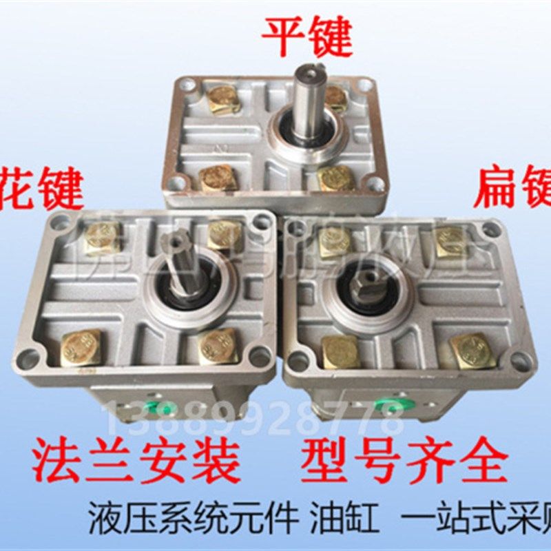 剪板机 拖拉机 升降台 液压齿轮油泵 CBN-F304 F306 F310 F316,厨房电器,其他商用厨电,淘宝优惠券,粉丝福利购,淘宝优惠卷