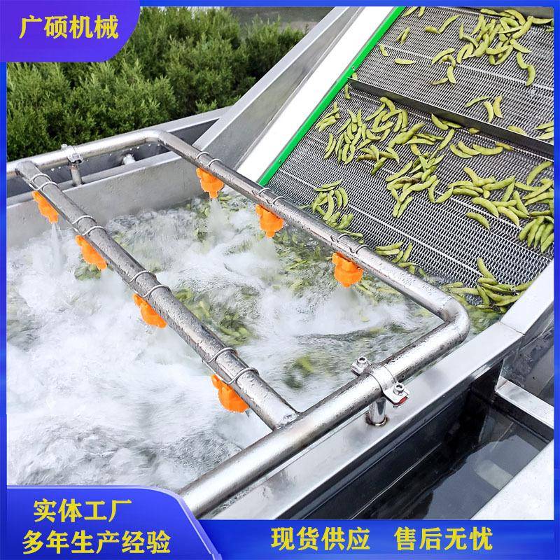 云南毛豆清洗风选机挑选台成套设备毛豆加工整条流水线机器