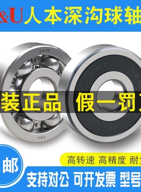 人本轴承6403 6404 6405 6406 6407 6408 6409 6410 6411 6412RZ
