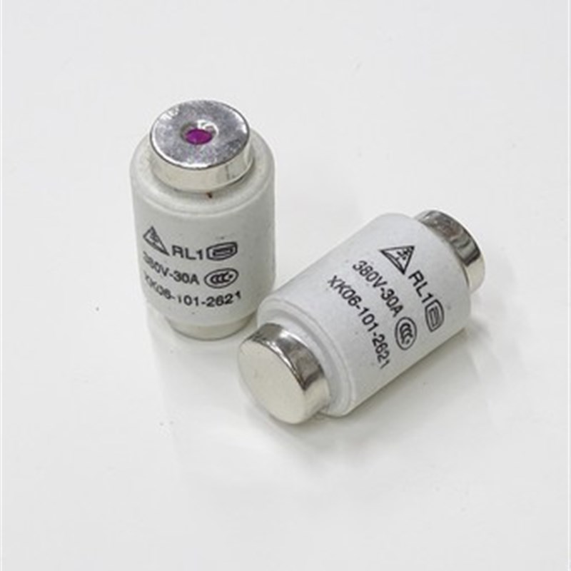 陶瓷保险丝RL1-60A 陶瓷熔断芯 RL1-60A 30-60A   10只装