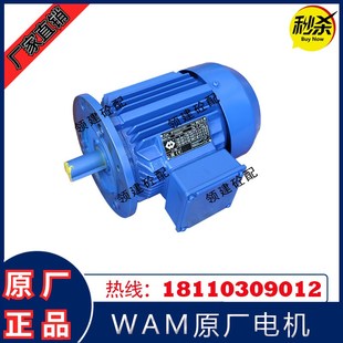 意大利WAM威埃姆电机螺旋机3KW 22KW高精度三相异步MT电机马达